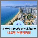 직장인 프로 여행러가 추천하는 나트랑 여행 팁- 베트남 여행 어디까지 가봤니?