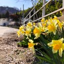 쌍계 경로당 이미지