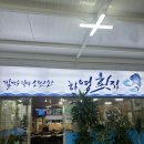 새서귀초등학교 | [서귀포 맛집] 하영횟집 : 제주 현지인 추천 가성비 활어회 맛집