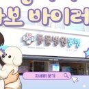 도곡동행동물병원 이미지