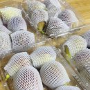 영오농장 이미지