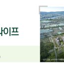 주식회사 율동