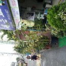 대은농장 이미지