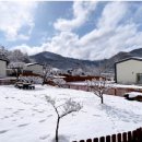 스테이 감동 이미지