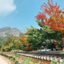 청송여인숙 이미지