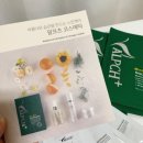 알프츠 | 알프츠 누보바세 모이스처 카밍마스크