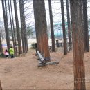 늘솔길공원양떼목장 이미지