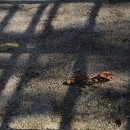 괘릉초등학교 이미지