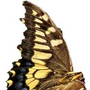 고모저수지 이미지