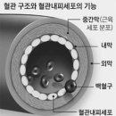 조선일보덕이센터 | 반송방 숭의연구강록 60호(2016.6.22)