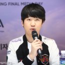 미디어롤