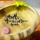 산호당약국 이미지