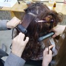 리오뷰티헤어 이미지