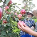 윤정희농장 이미지