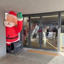 수색목장 | 담양 카페 추천 생츄어리 : 포토존 가득 ~ 고양이도 쉬어가는 햇살 맛집