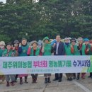 위미1리 이미지