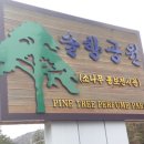 솔향공원 소나무전시관 이미지