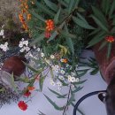 천근경로당 이미지