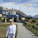 뉴질랜드 와나카 리폰 와이너리 후기 (예약 없이, 옐로택시, 예약 방법)