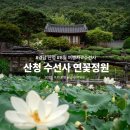 웅석봉초록길 | [ 경남 산청 ] 8월 여행지 절 추천 수선사 사찰 연꽃 정원 명소 (카페)
