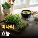 한국인만 몰랐던 장수 비결 이미지