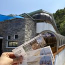 천곡황금박쥐동굴 | 동해 가볼만한곳 천곡황금박쥐동굴 솔직후기