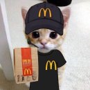 이상한 이승환 이미지