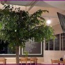 화이트라인치과의원 이미지