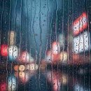 덴탈이유 이미지