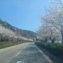 베르니아 이미지