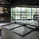 햇빛 좋은 PT | 목동역 헬스장 뉴블랙짐 헬스 PT 목동점, 목동역 PT 추천 (준 트레이너님)
