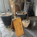 영2덮밥 네이버블로그