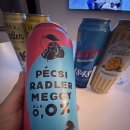과일맥주 추천 페치 라들러 홈파티 후기