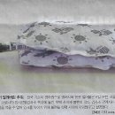 코인카페 Daum카페