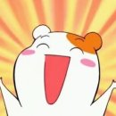 보람부동산