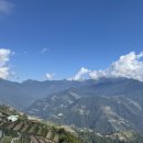 대인농장4 이미지