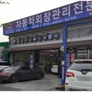 럭키덴트칼라