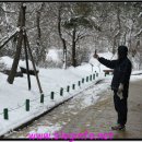 허상과 실상의 공존 이미지