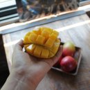 대동농장 이미지