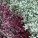 늘처음처럼 이미지