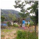 제부한빛 이미지