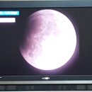 GS25 창천휘가로점 이미지
