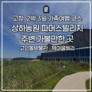 책마을해리 | 고창 상하농원 파머스빌리지 2박 3일 가족여행 후기 (수영장, 조식, 고인돌박물관, 책마을해리 등 놀거리)