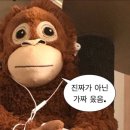 누가 저에개 멋진 집 한 채만 주세요