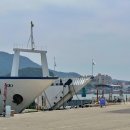 대일해운(가자바다로/아일랜드/욕지호) 이미지