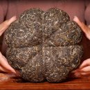 코스티(COSTI) 이미지