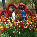 철쭉동산 이미지