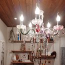 제주 알모 이미지