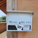 보성백록다원 이미지