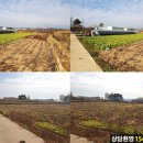 익산태양광발전소 이미지